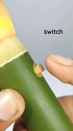 25K views · 186 reactions | Eco friendly Bamboo Torch Light for emergency use. | Abdullah Hasan Naim - Craftsmen | Facebook