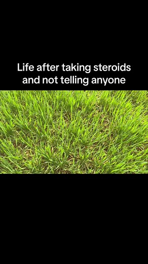 The Impact of Steroids on Nature