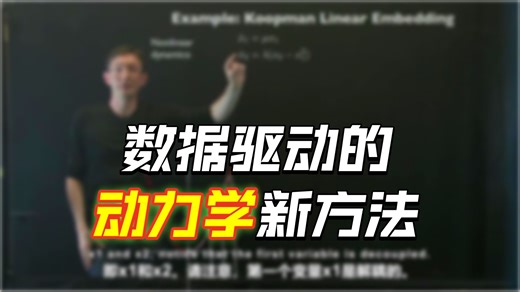 RVL BR - 库普曼分析