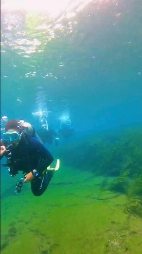 How to Drift Dive at Rainbow River Fl #scubadiving