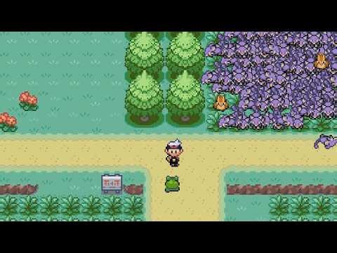 The TWO types of players on route 1 in Pokemon games