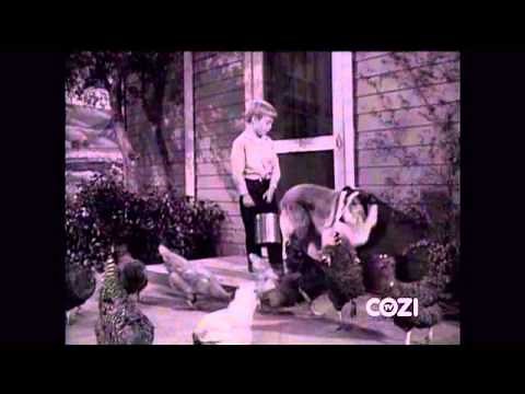 Lassie - Episode #185 - "The Contest" - Season 6 Ep. 3 - 09/20/1959
