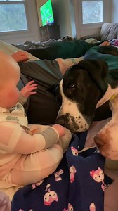 #topfans Elli just wants to pet the puppies! 🤩🥰 And the puppies just want her snacks. 🤣 | Dogs and Other Unsolicited Advice - L O N G bois and the House Hippos