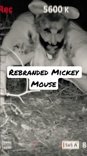 Full video https://youtu.be/bm6VOgmv9-c