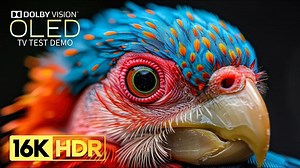 【杜比视界】酷炫惊艳超高清 hdr 120fps ｜ (适用于 8K4K 电视) 4K HDR