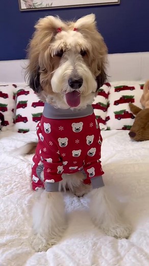 They keep him warm without overheating—just the right balance