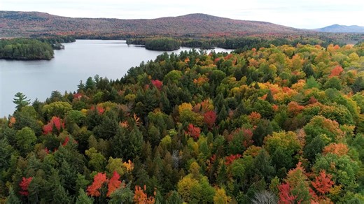 Soar Over Vermont: A Drone's View of Nature's Masterpiece - Worldwide