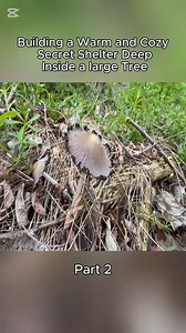 41K views · 378 reactions | #shelter #skills #dugout #offgrid #cabin #camping #forest #survival | Kompressor | Facebook