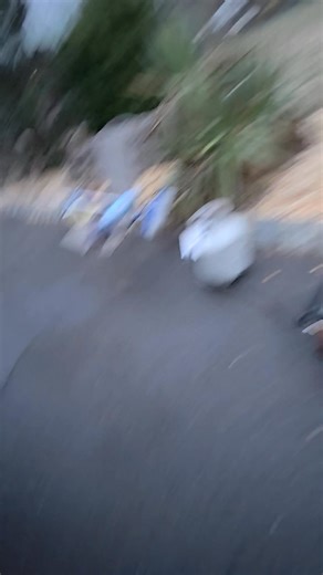 #steak with rosie the #doberman coming from the #RV 2025 #georgetown 7 36k7 model #royalgourmet | Jason Hiecke