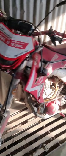 python lama on TikTok