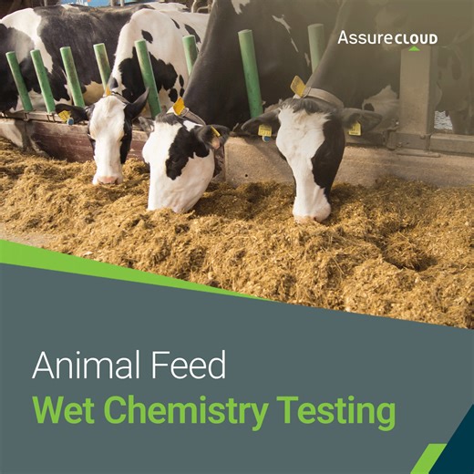 Ensure Your Livestock Feed is Safe, Nutritious, and Compliant The quality of your animal feed directly impacts health, productivity, and profitability. With AssureCloud’s Animal Feed Wet Chemistry Testing, you can: ✅ Measure key nutrients like protein, fat, fibre, and minerals ✅ Detect contaminants or toxins before they affect your herd ✅ Maintain consistent feed quality batch-to-batch ✅ Meet regulatory requirements and international standards ✅ Optimise feed formulation for cost-efficiency Heal