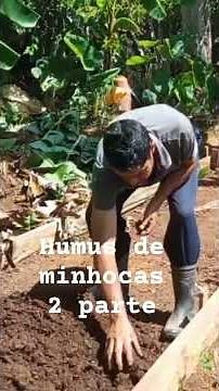 Processo do húmus de minhocas