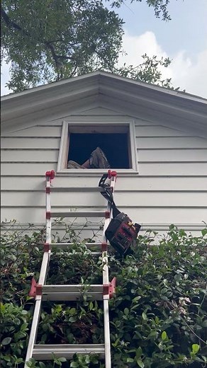 Gable vent attic entry, OSI Inspection Services LLC