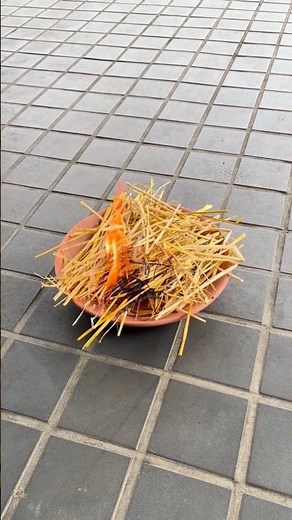 【お盆の風習】お盆の迎え火・送り火に使う「麦わら」｜地域に受け継がれる日本の風習 #shorts #お盆 #日本 #伝統文化