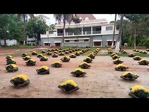 Sitting mass PT exercise