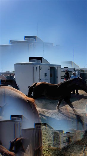 Behind the scenes 👀 The horses being trailed back to their pen. This happens every afternoon after they’re sorted for the rodeo that night. #Blackfoot_Idaho_ProRodeo #2xprorodeooftheyear #GemStateClassicProRodeo Select Health Tadd Jenkins Ford Chrysler Dodge Jeep Ram Project Filter - Idaho Fights Tobacco Powder River Rodeo LLC | Gem State Classic Pro Rodeo
