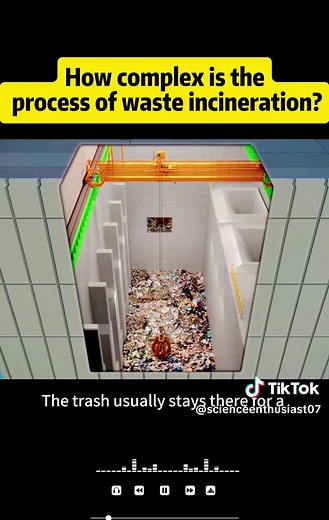 Waste Incineration Process: Science and Complexity