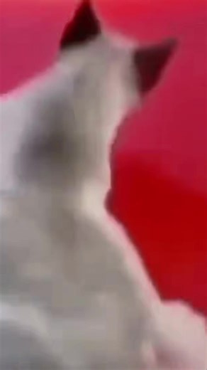 DarkComet (@darkcomet13)’s videos with nhạc nền - DarkComet