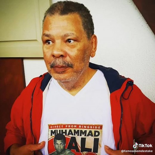 #mundotiktok #tiktok #noticiasdosfamosos