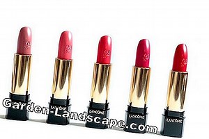 Conception de paysage: Rosen: Les 10 Plus Belles Variétés Rouges - Mon Beau Jardin | 2025