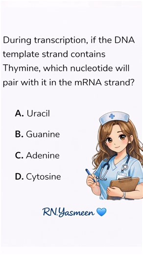 RN.Yasmeen Abughazleh 💙 on Instagram: "🧬 DNA → mRNA pairing can make or break exam questions! ⸻ During transcription, if the DNA template strand contains thymine (T), which nucleotide pairs with it in the mRNA strand? 👇 🧠 Correct answer: ???? 📌 Remember this rule: • DNA uses Thymine (T) • RNA replaces it with Uracil (U) 💡 NCLEX tip: If it’s RNA, think U instead of T every time ✔️ Save this for genetics, biochem & NCLEX review and follow RN.Yasmeen 💙 for nursing made simple.#viral #fyp #nu