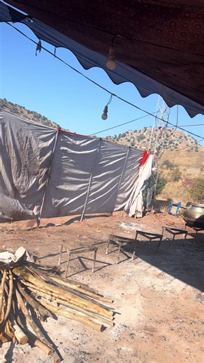 Explore the Exciting World of Pashto Entertainment