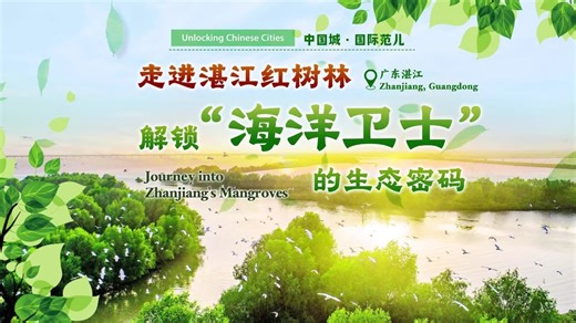 Unlocking Chinese Cities | Journey into Zhanjiang's Mangroves