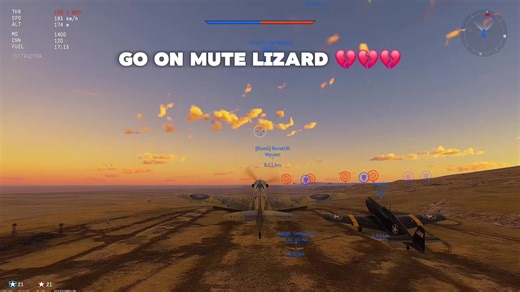 just mute your mic gng@wizard lizard #warthunder #viral #fyp #meme #warthunderplanes