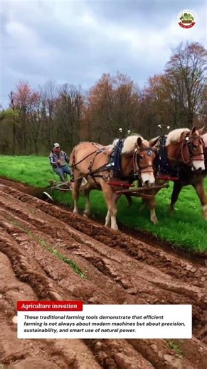 Smart Farming Tools vs Modern Machines – Efficient Plowing Method That Still Wins