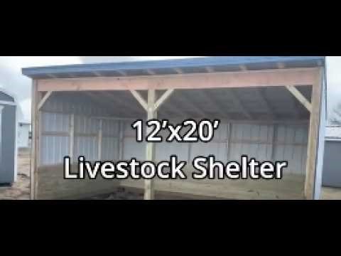 12x20 Livestock Shelter Walkthrough | Durable Run-In Shelter by Sun Rise Sheds