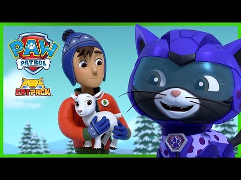 Shade & Everest Save a Baby Mountain Goat 🐐- PAW Patrol Cat Pack Rescue Episode - Cartoons for Kids