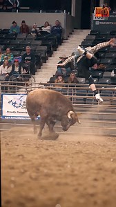 Red Bull gives you wings | Cow Pony Productions