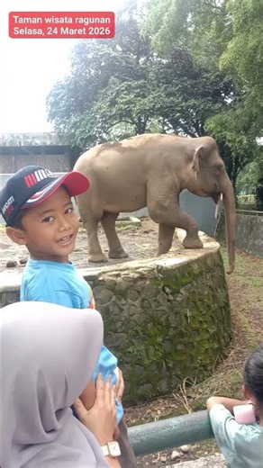 Muhammad Sultan Al Fatih. Gajah