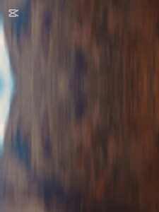 2.4K views · 8.5K reactions | Treasure hunt coated bird prospective spot nearby indication markings #fbreels #explorepage #treasurehunt #reels #treasure #everyone #explore | Jm D Compass | Facebook