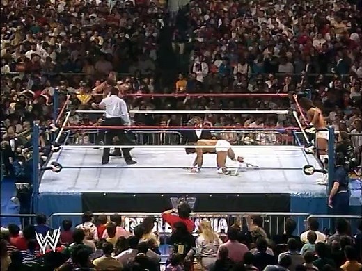WWF Wrestlemania IV - Demolition Vs. Strike Force