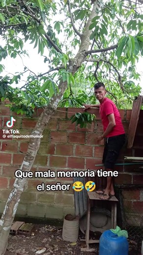 Héctor Rivera (@hctor.rivera34)’s videos with sonido original - Héctor Rivera