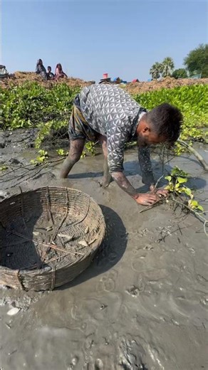 Amazing Hand Fishing by Digging Pond #fishing #shorts