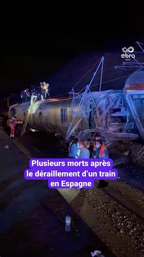 Ce dimanche 18 janvier, un train aurait déraillé avant de percuter un deuxième train situé non loin, à Adamuz, dans le sud de l’Espagne. Plusieurs morts et blessés ont été recensés par les autorités, citées par El Pais. #ebrainfo | Le Progrès