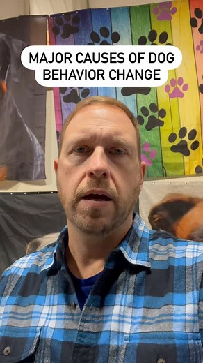 2.3K views · 668 reactions | There are 4 “BIG” causes of behavior change. But one of these can actually help you. | Vermont Dog Trainer | Facebook
