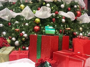 'Adopt A Family' Program In Need Of Donors Throughout Morris Co.