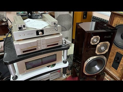 Усилитель Authentic TERA & Victor ZERO-Fx9