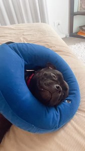 12 reactions | It can be helpful to look at why you are repeating unhealthy or unhelpful patterns in your life or relationships. If you’ve noticed that you doing it maybe I could help you figure it out? | Umbrella Counselling | Facebook