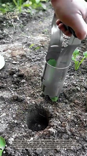Effortless Gardening: The Ultimate Hand Planter Tool for Seedlings!
