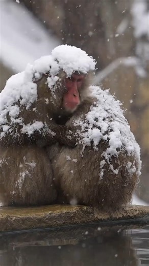 Nature's 360-degree Dryer #SloMo