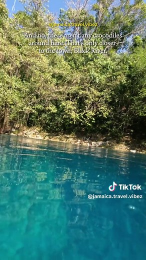 Exploring the Enchanting Black River in St. Elizabeth, Jamaica