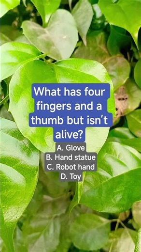 What has four fingers and a thumb but isn’t alive?