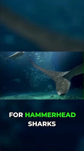 Japan's Atlantis: Unveiling an Ancient Underwater City?