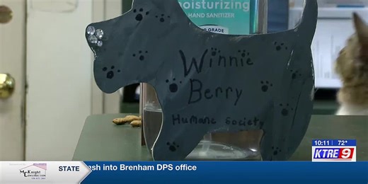 Lufkin shelter offers low-cost spay, neuter program to reduce overpopulation