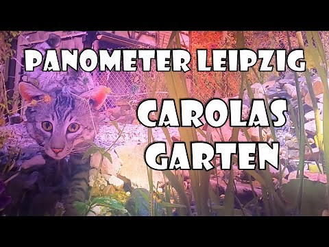 Panometer Leipzig ~ Carolas Garten als 360° Panorama 🍃 | Zeit zu Zweit