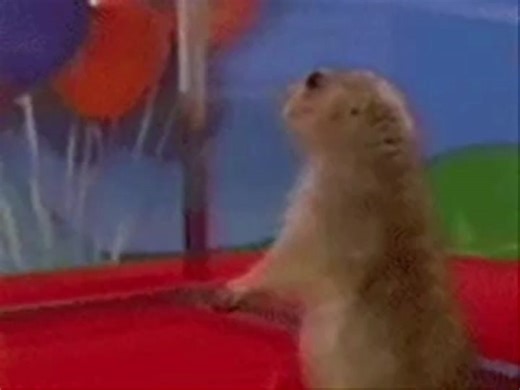 Remember this guy? #dramatic #chipmunk